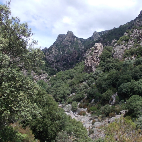 Urlaub Frankreich 2015 (28)